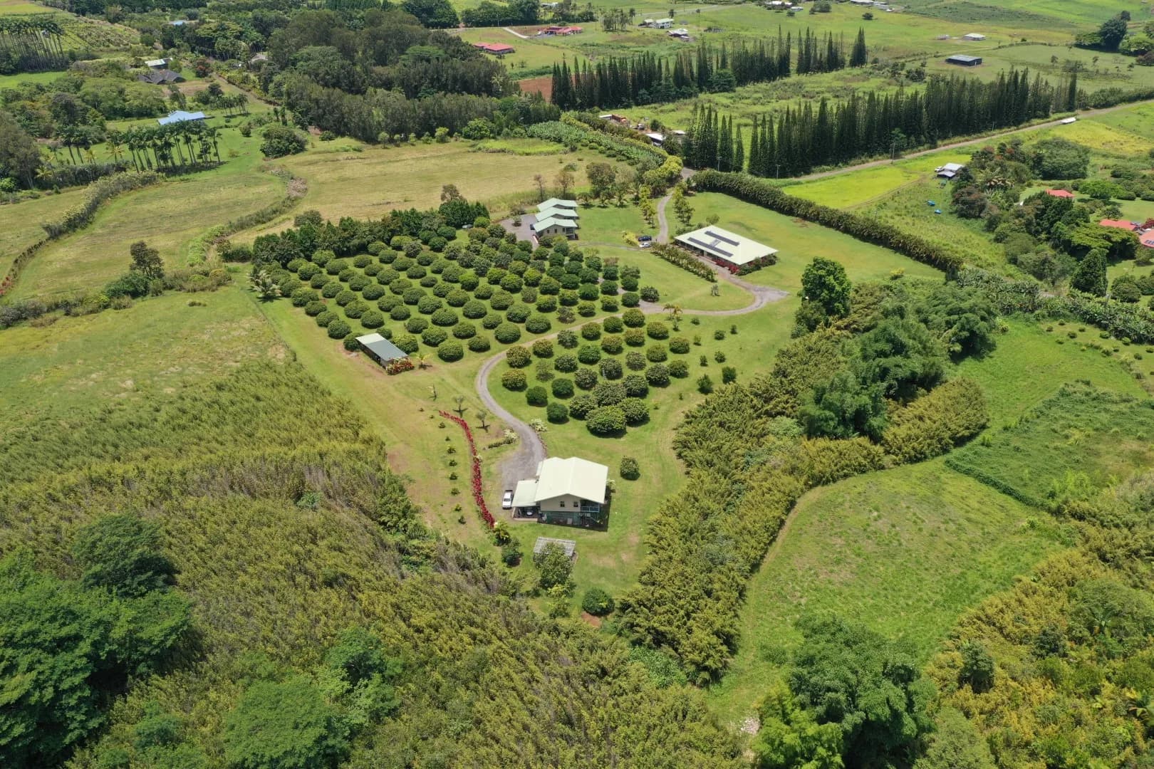 Agriculture
